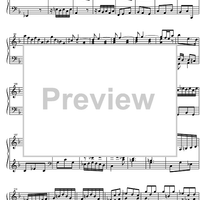 Concerto g minor BWV 985