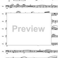 Messe solennele breve - Bassoons