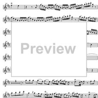 Concerto No. 2 C Major KV314 - Flute