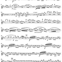 Grand Duo in D Major , Op. 39, No. 3 - Flute 2