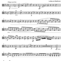 String Quintet c minor Op.104 - Viola 1