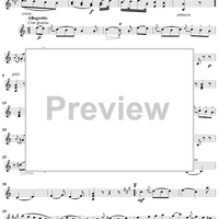 Serenata No. 2 in D Major - Violin 1