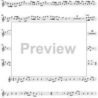 Flute Concerto in G Major, Op. 10, No. 6 - Violin 1