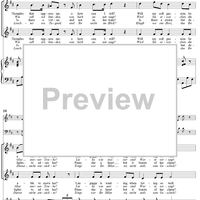 Twenty five Irische Lieder