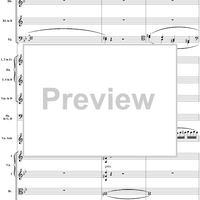 Violin Concerto No. 1, Movement 1 - Score