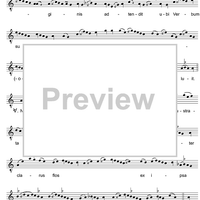 O Tu Suavissima Virga