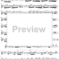 Sonata No. 19 in E Minor - Flute