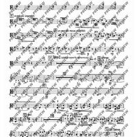 2. Concerto in C - Viola