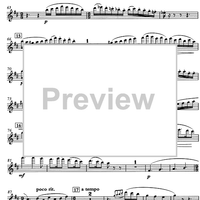 Westerly Winds Op.84 - Flute
