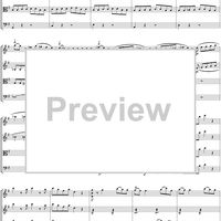 Eine kleine Nachtmusik - Score