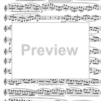 The Accomplished Clarinettist Vol. 2 - Clarinet