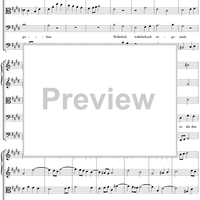 Wahrlich, ich sage euch - No. 1 from Cantata no. 86, BWV86