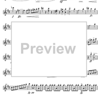 Rondo b minor D895 - Violin