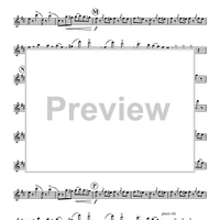 Radetzky Marsch - Flute