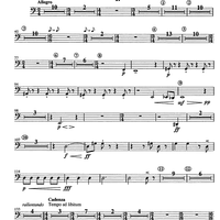 Concertino giocoso Op. 12 - Tuba