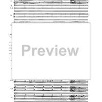 Birds In Light - Full Score