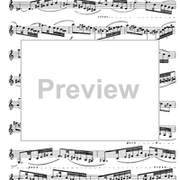 Preliminary studies to 'The Accomplished Clarinettist' Vol. 3 - Clarinet