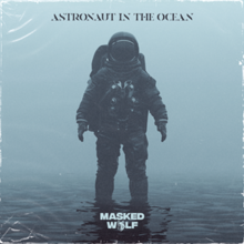 Astronaut in the Ocean