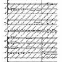 Il Vitalino raddoppiato - Full Score