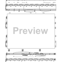 Bright Lights and Cityscapes