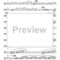 The Yellow Rose of Texas Variations - Euphonium BC/TC