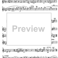 Bündner Tänze Op.108b - Flute