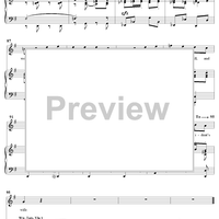 If I Became the President