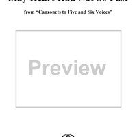 Stay Heart Run Not So Fast