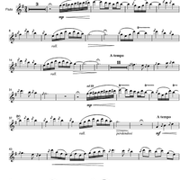 Argentinian Rhapsody - Flute