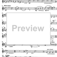 Jarní Hudba (Spring music) - Flute