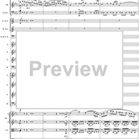 Mass in C Major, No. 6: Agnus Dei - Full Score