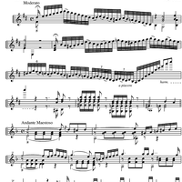 Gran Caprice Op.11