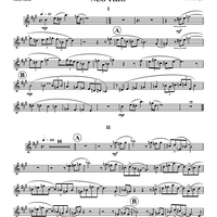 Neo Trio - Alto Sax
