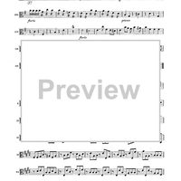 Double Concerto for Recorder and Flute in E minor - Viola