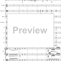 Agnus Dei, No. 12 from Mass No. 19 (Requiem) in D Minor, K626 - Full Score