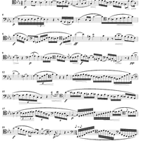 Concert Study No. 17