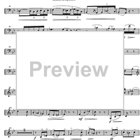 Sonata in D minor - Cello