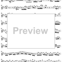 Flute Sonata No. 1 in B Minor, BWV1030 - Flute