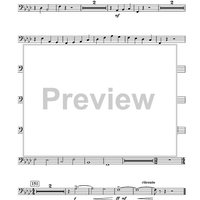 The Morning Trumpet - Tuba