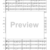 Allegretto from Symphony No. 3 - Score