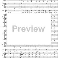 "Tiger! Wetze nur die Klauen", No. 13 from "Zaide", Act 2, K336b (K344) - Full Score