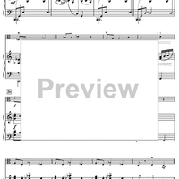 Harry's Wondrous World