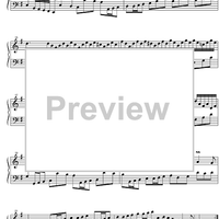 Concerto G Major BWV 986