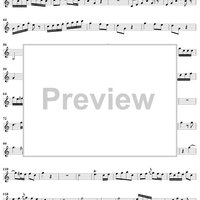 Horn Concerto No. 1 - Horn