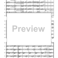 Circuite Suicus - Score