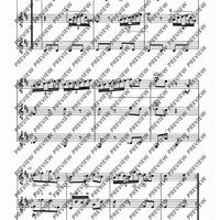 Zwölf Cassationsstücke - Performing Score