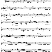 The Maid of the Mist  (Polka) - Cornet