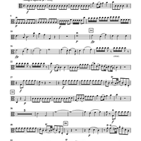 Concerto for Oboe in C Major, K. 314 for Oboe and String Quartet - Viola