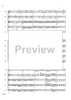 Allegro Molto from Symphony No. 40 - Score