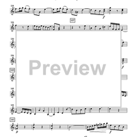 The Violin Concerti - Violin 2